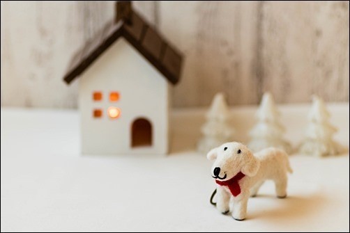 クリスマス&お正月フォト撮影会_紫子さん